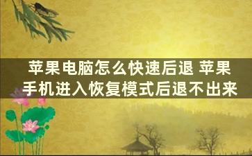 苹果电脑怎么快速后退 苹果手机进入恢复模式后退不出来